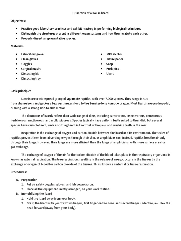 House Lizard Dissection Guide | PDF