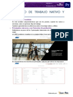 El Flujo de Trabajo Nativo y Proxies PDF