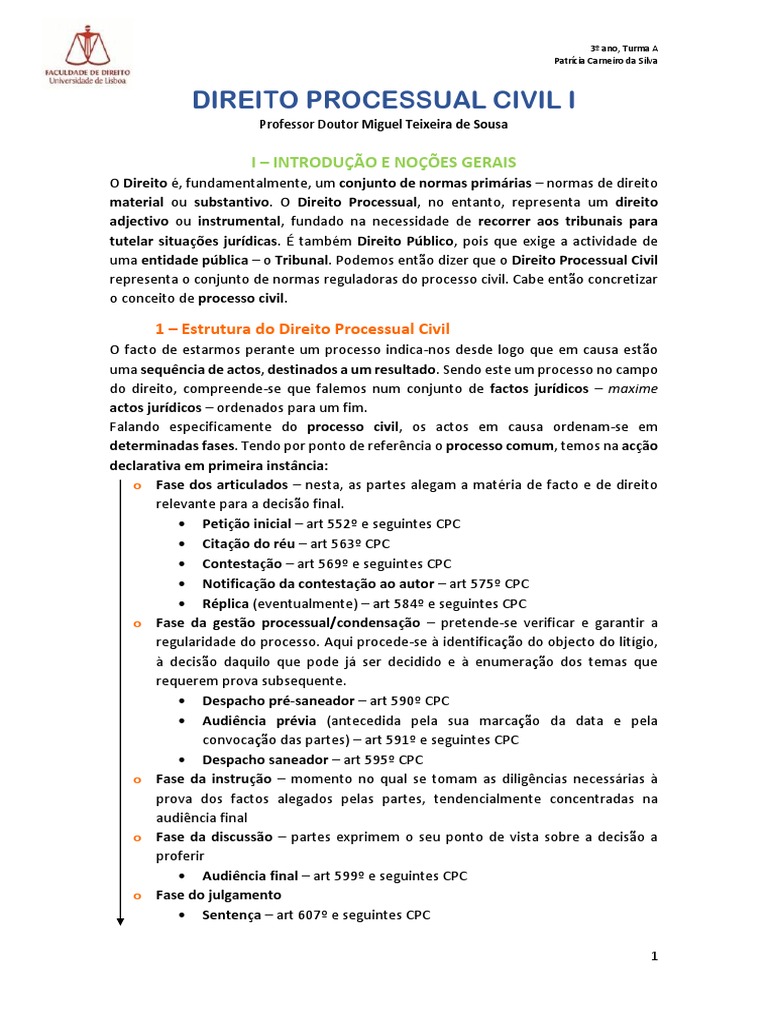 DIREITO PROCESSUAL CIVIL I Patrícia Carneiro Da Silva | PDF