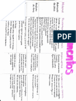 Protocolo de Materiales Dentales PDF