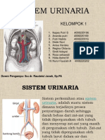 Kel 1 Sistem Urinaria Anatomi Fisiologi PDF