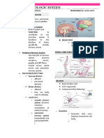 Neurologic System Lecture