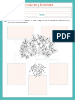 Guía Plantas PDF