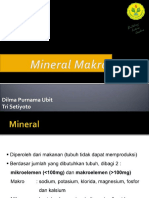 Mineralmakro 170713045342 PDF