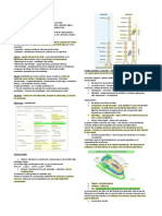 Celulas PDF