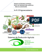 Módulo Iv - Paquetería Básica PDF