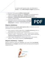 Mięśnie PDF