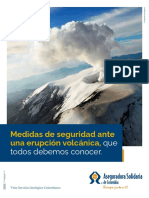 Seguridad Volcan - VFPDF PDF