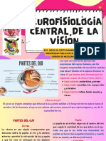 Neurofisiologia Central de La Vision PDF