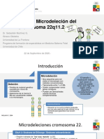 Sindrome de Microdelecion Del Cromosoma 22q11 DR Sebastian Martinez - Archivo