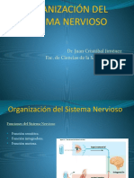 Organizacion Del SN