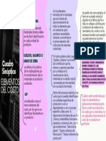Cuadro Sinoptico PDF