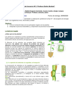 BIOLOGIA 1°1° - 1°2° TM - TT - (Trabajo 9) Nutrición Autoótrofa