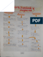 Mapa Transbordo PDF