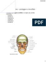 Neuroanatomia PDF