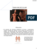 Sistema muscular: estrutura e contração