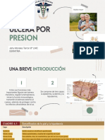Ulcera Por Presion PDF