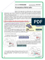 La Formation Réticulée