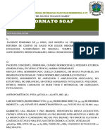 Formato Soap PDF