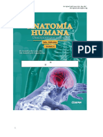 Anatomia Humana-Descripcion Por Regiones (Rafael Coello) PDF