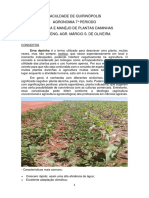 Bio e Manejo Plantas Daninhas PDF