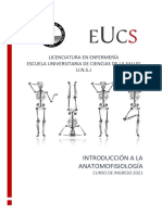 Anatomofisiología PDF