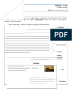 Carta - Ficha Informativa - P8 PDF