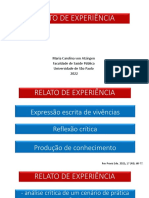 AULA RELATO DE EXPERIÊNCIA (1).pdf