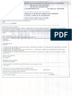 Certificado Tradicion y Libertad 2023 PDF