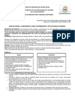 Marcha PDF