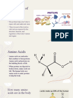 Proteins-Sofia e and Matthew o