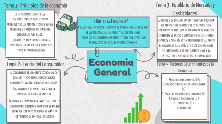 Organizador Visual de Economía General | PDF