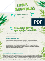 Daniel Montes, Normatividad Ambiental, 11-1 PDF