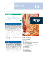 10 PDF