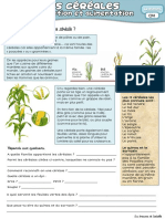 Les Céréaless PDF