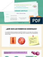 Verrugas Genitales - 16 PDF