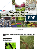 1 Classificação Vegetação PDF