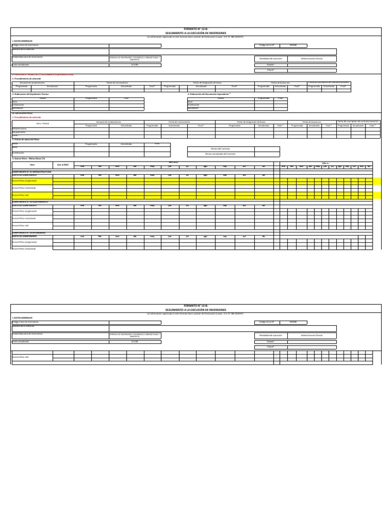 Formato 12-B: Seguimiento Inversiones | PDF