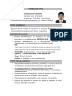 Curriculum Vitae-Imprimir Onpe PDF