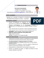 CURRICULUM VITAE-IMPRIMIR ONPE Elecciones PDF