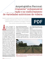 Colecao Ampelografica Nacional PDF