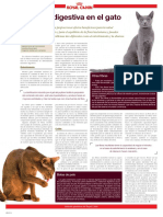 Fibra y Salud Digestiva en El Gato-Libre PDF