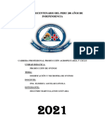 Informe de Practicas Ovinos Marvi PDF
