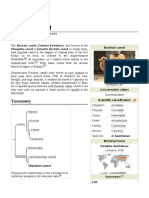 Bactrian Camel PDF