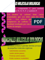 Lab MOLECULA 23 PDF