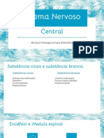 Sistema Nervoso Central Monitoria Aula 3 PDF