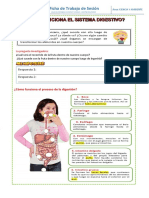 Ficha 03 - Cómo Funciona El Sistema Digestivo PDF