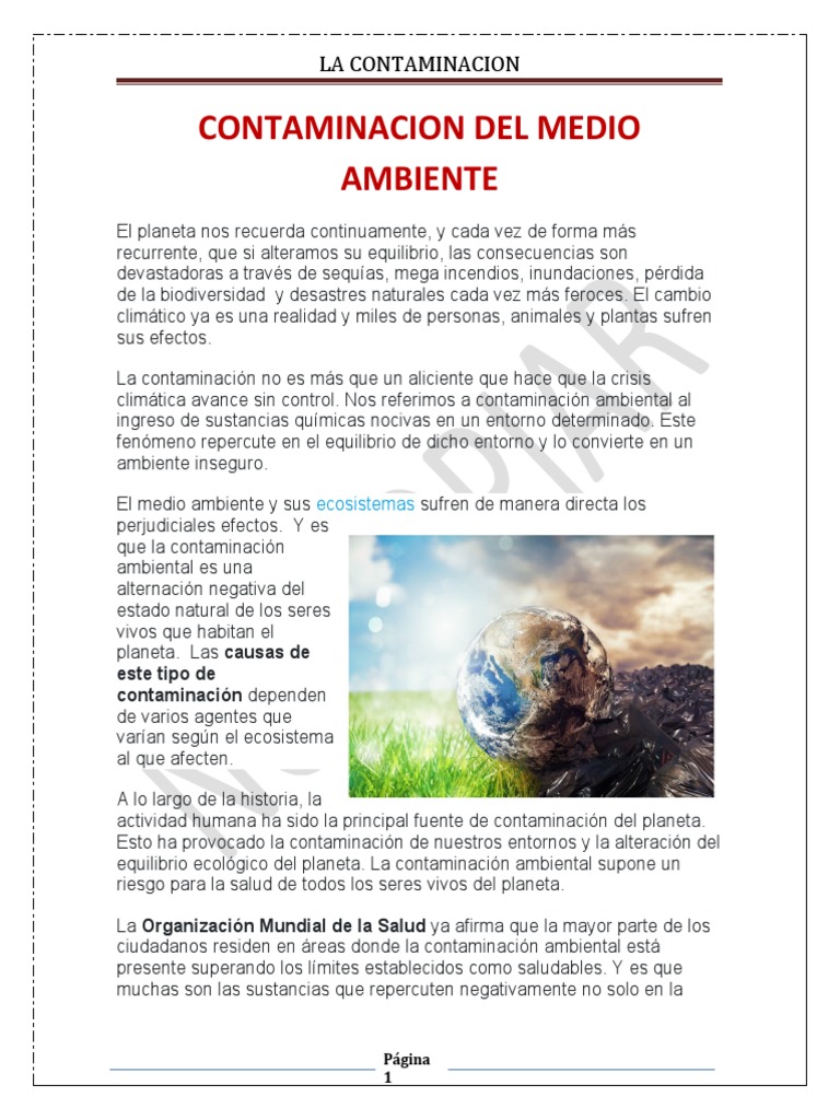 Contaminacion Del Medio Ambiente | PDF | Contaminación | Entorno natural