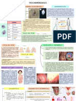 Resumen de Trichomona Vaginalis PDF