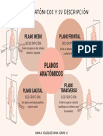 Planos Anatomicos PDF